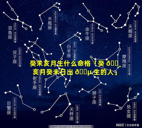 癸未亥月生什么命格「癸 🕸 亥月癸未日出 🐵 生的人」